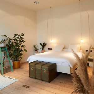 Deluxe Kamer met een Queen Size Bed